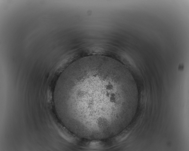 X0000089970173200707061208