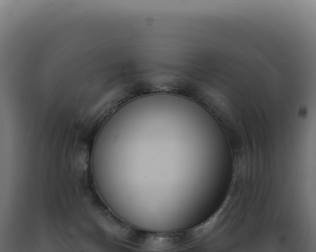 X0000089970174200707061208