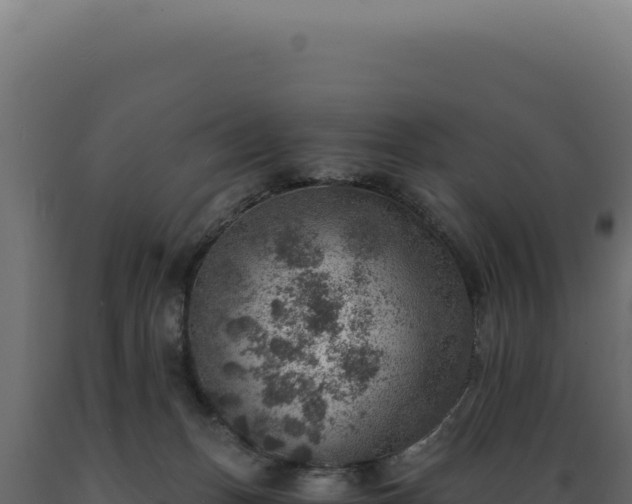 X0000089970175200707061208