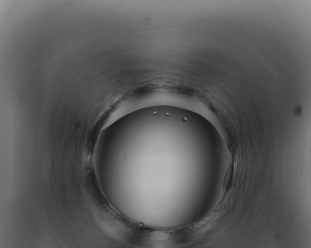 X0000089970176200707061208