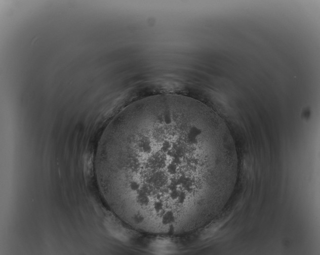 X0000089970177200707061208