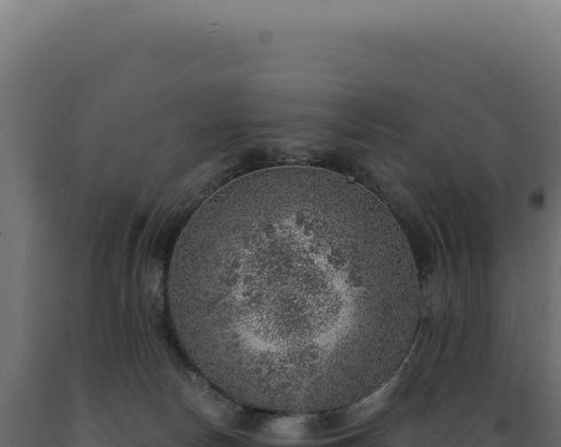 X0000089970178200707061208