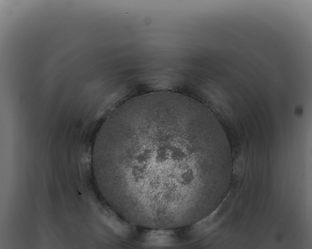 X0000089970179200707061208