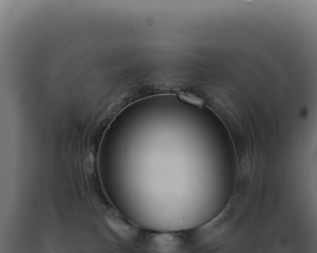 X0000089970183200707061208
