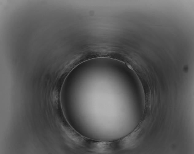 X0000089970184200707061208