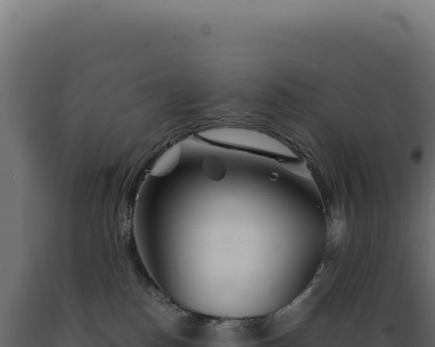 X0000089970186200707061208