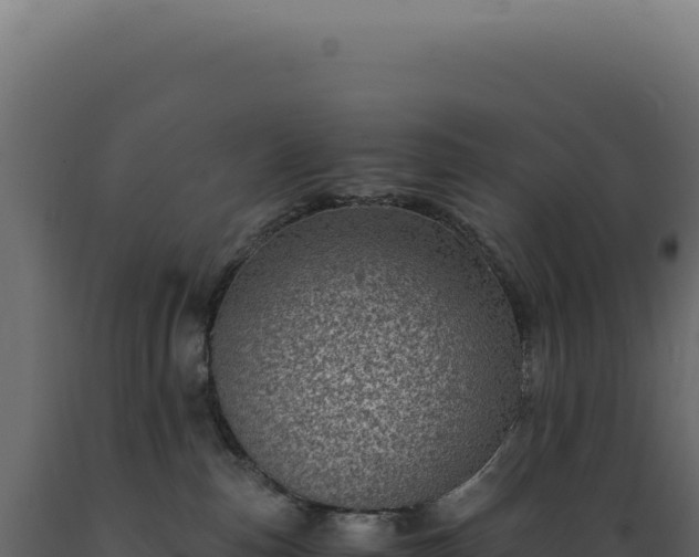 X0000089970187200707061208