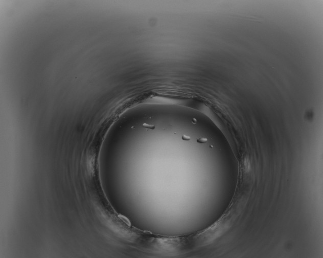 X0000089970188200707061208