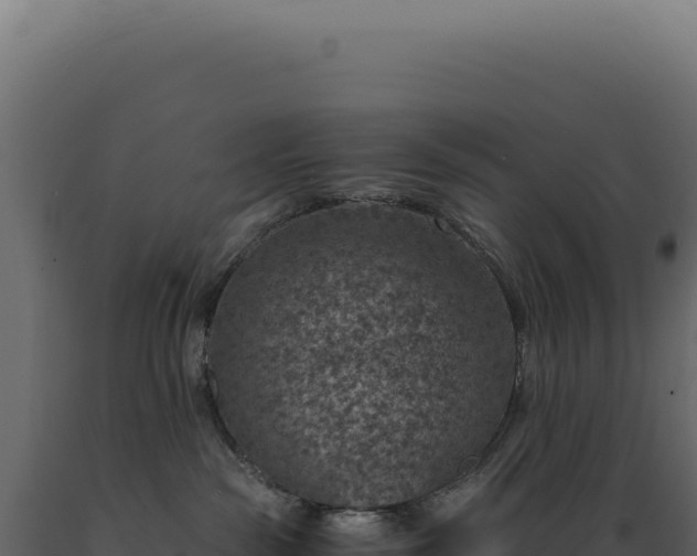 X0000089970189200707061208
