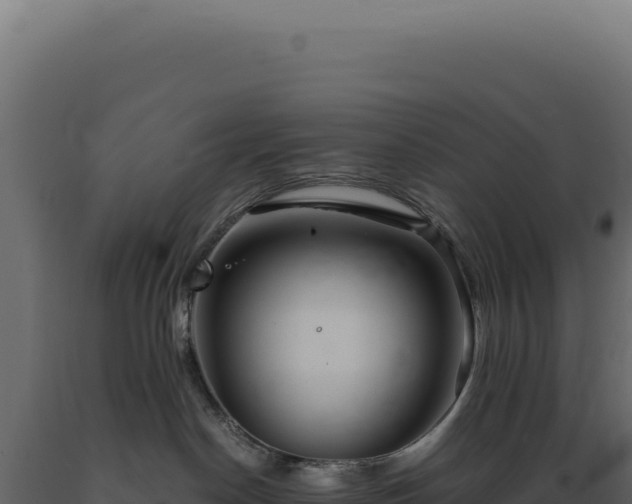 X0000089970190200707061208