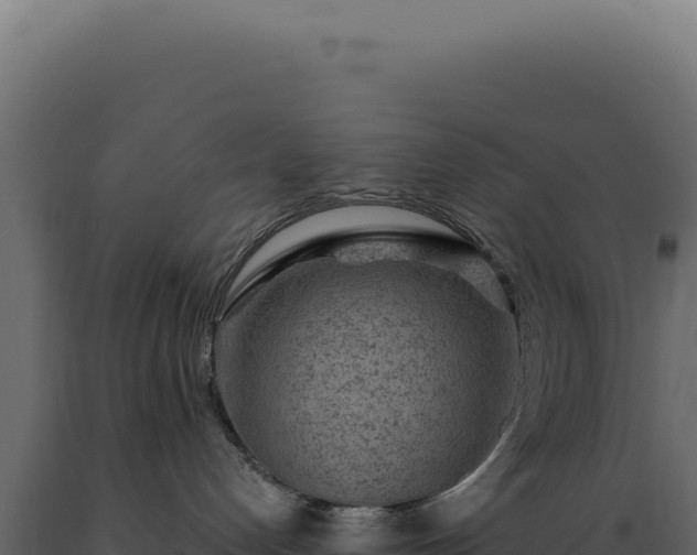 X0000089970192200707061208
