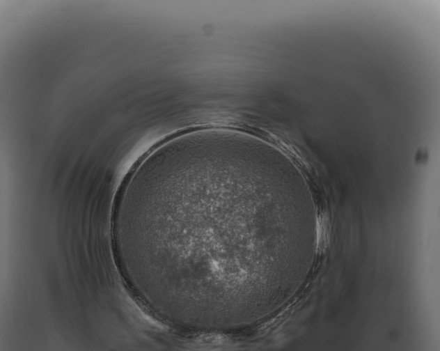 X0000089970195200707061207