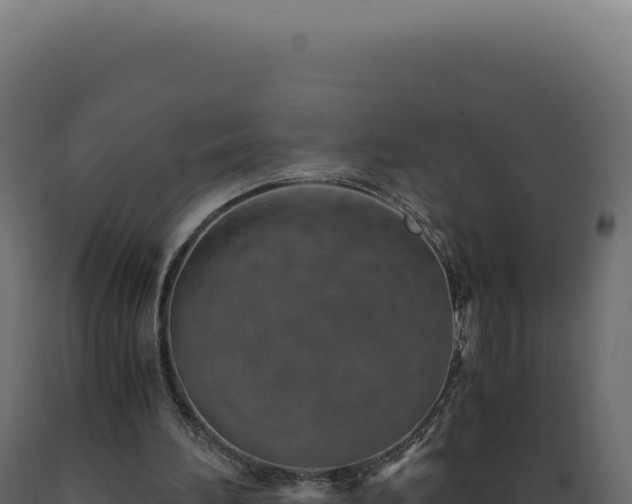 X0000089970196200707061207