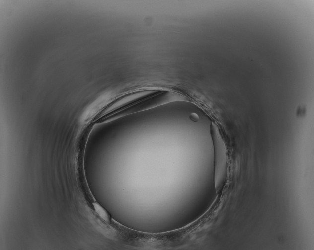 X0000089970197200707061207