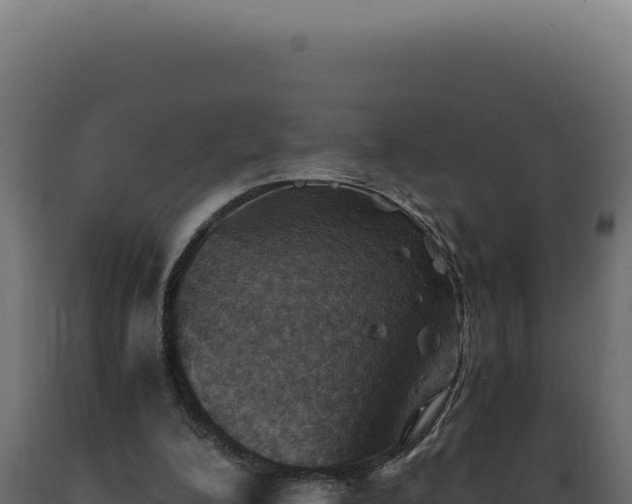 X0000089970200200707061207