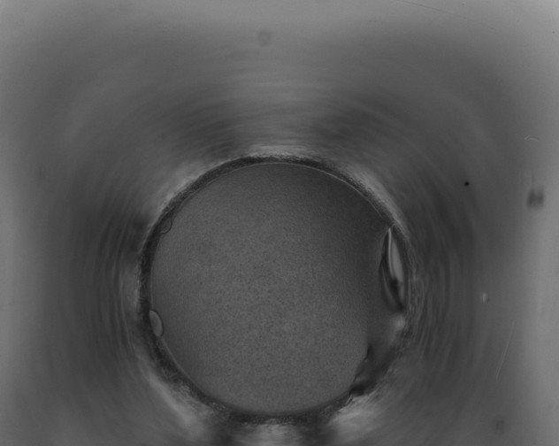 X0000089970204200707061207