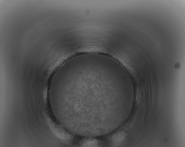 X0000089970206200707061207