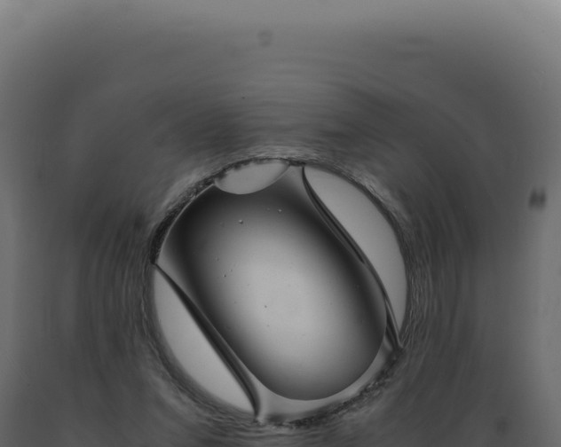 X0000089970207200707061207