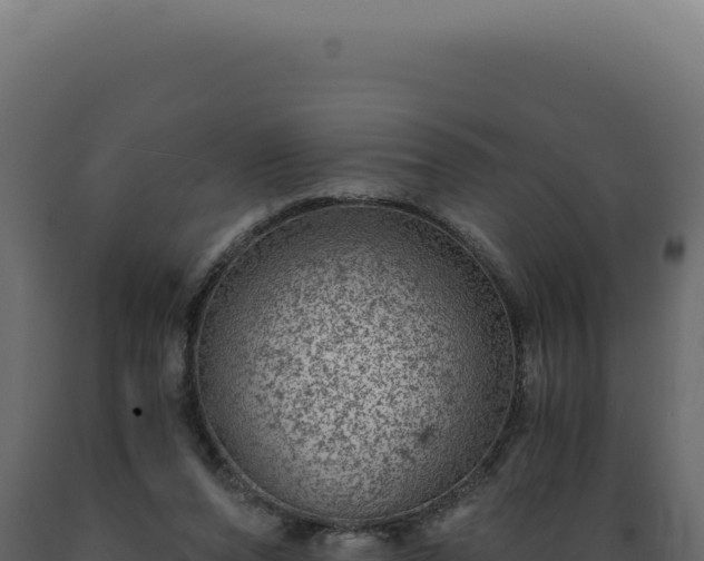 X0000089970208200707061207