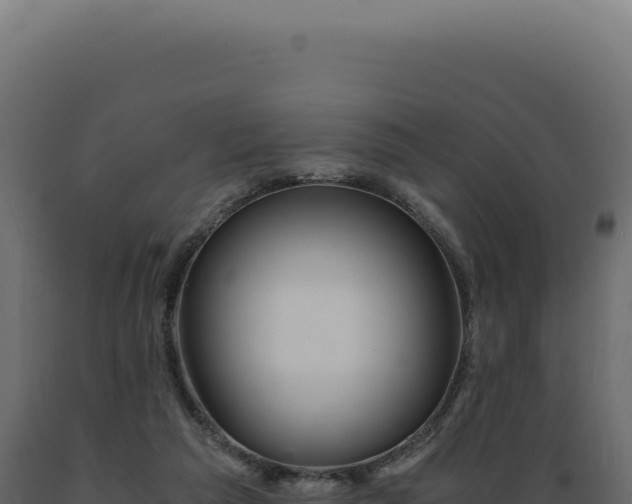 X0000089970209200707061207