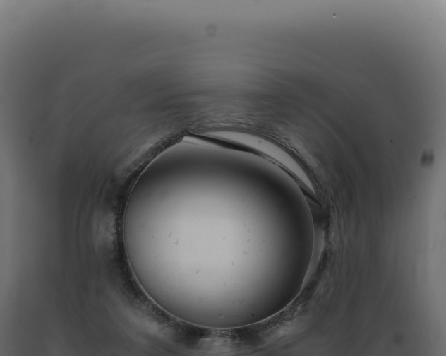 X0000089970211200707061207