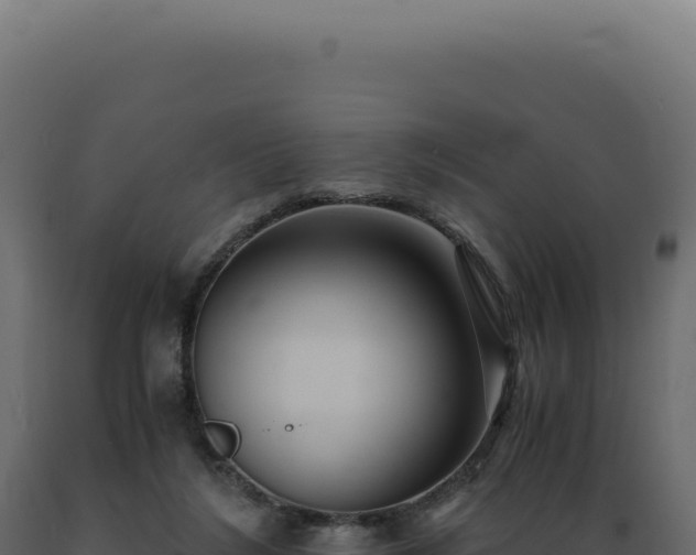 X0000089970212200707061207