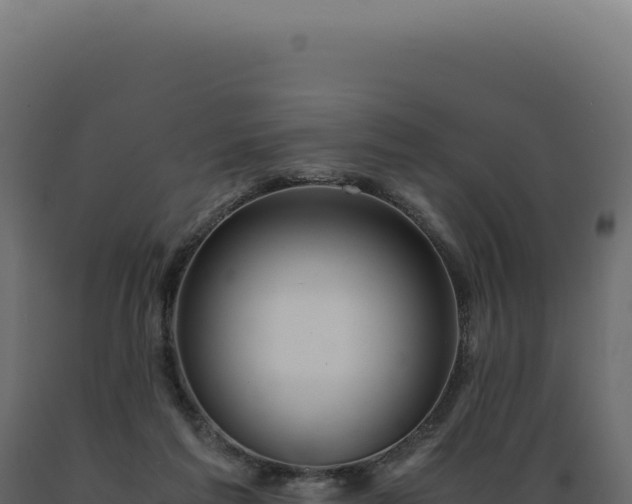 X0000089970213200707061207