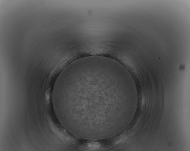 X0000089970214200707061207