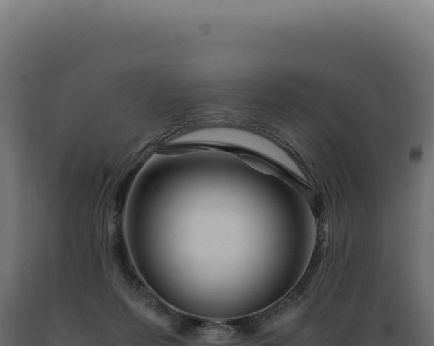 X0000089970215200707061207