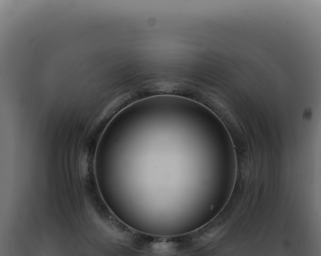 X0000089970216200707061207