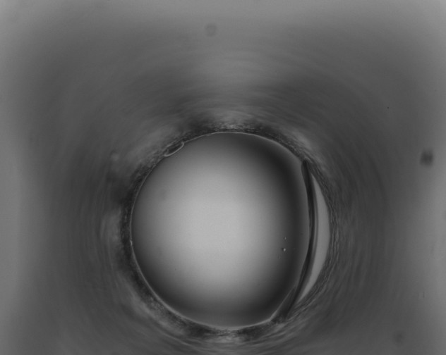X0000089970217200707061207