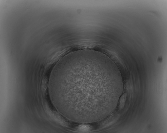 X0000089970218200707061207