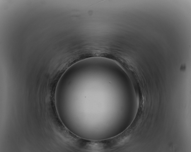X0000089970221200707061207