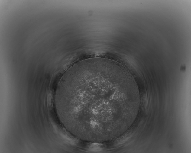 X0000089970222200707061207