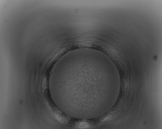 X0000089970224200707061207