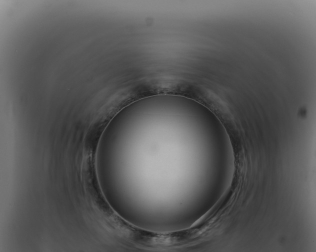 X0000089970225200707061207