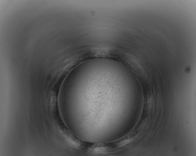X0000089970228200707061207