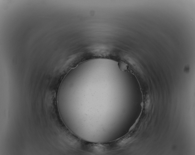 X0000089970229200707061207