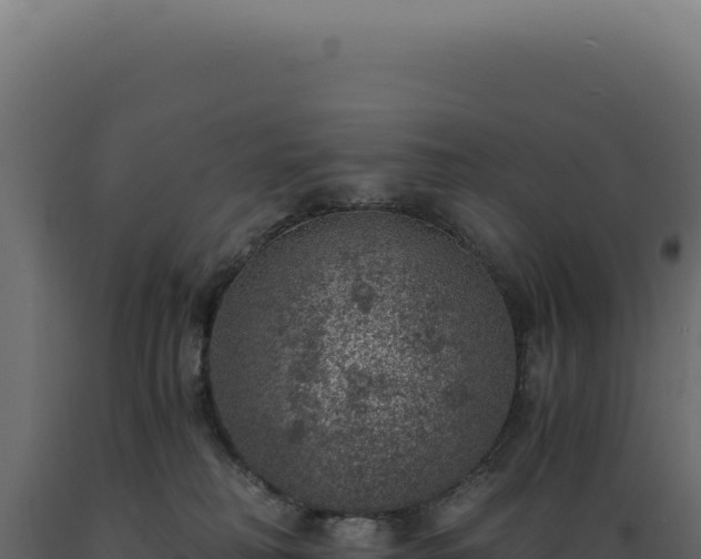 X0000089970230200707061207