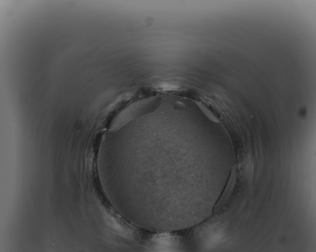 X0000089970231200707061207