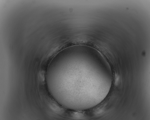 X0000089970232200707061207