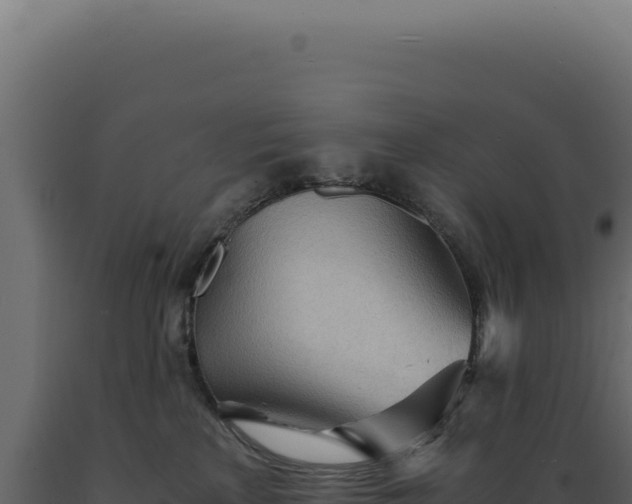 X0000089970233200707061207