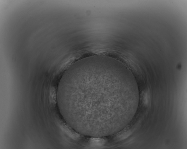 X0000089970234200707061207