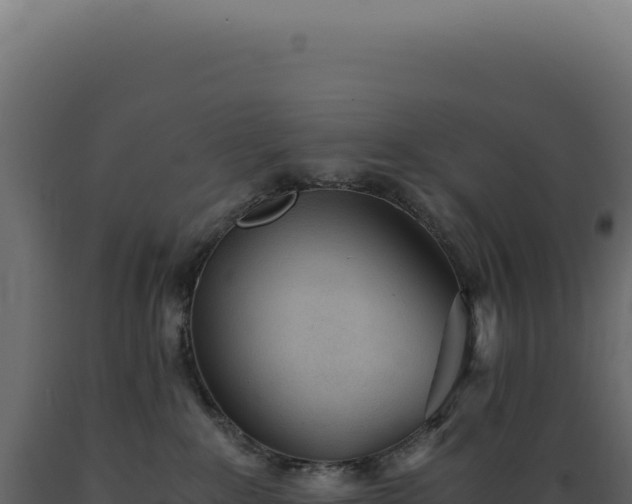 X0000089970235200707061207
