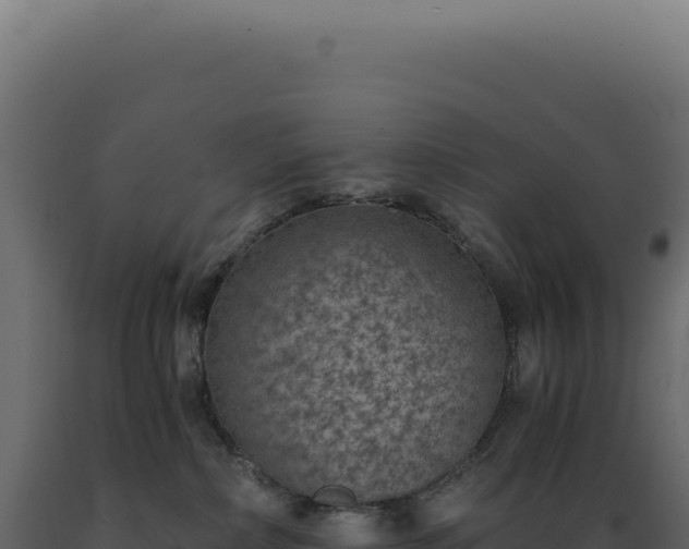 X0000089970236200707061207