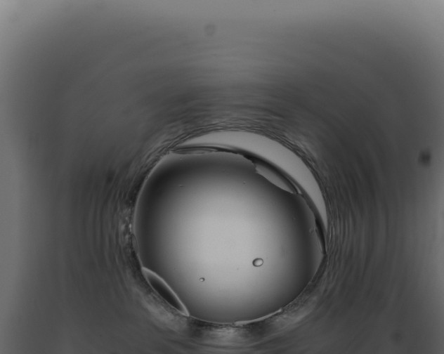 X0000089970237200707061207