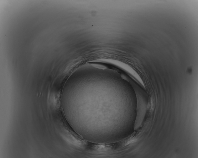 X0000089970239200707061207