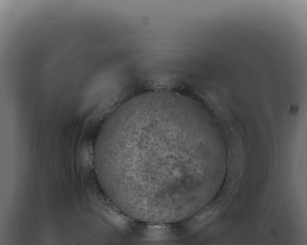 X0000089970240200707061207