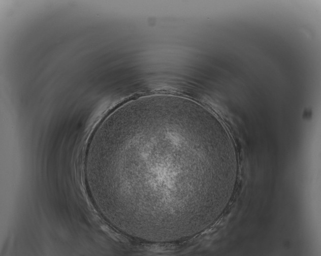 X0000089970241200707061206
