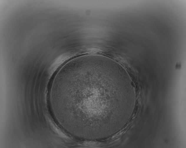 X0000089970242200707061206